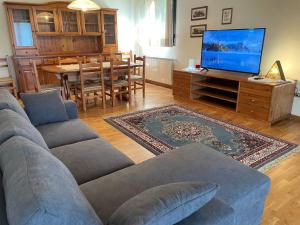 TV a/nebo společenská místnost v ubytování Residenza Riva Wellness Apartment Spa