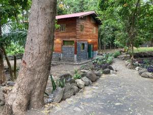 a log cabin in a forest with a tree at Mucumbli in Ponta Figo