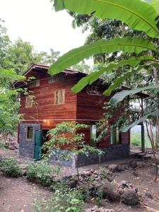 a wooden house in the middle of a forest at Mucumbli in Ponta Figo