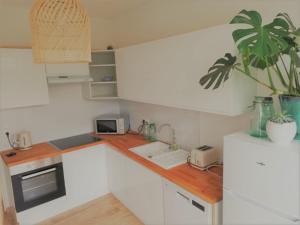 a kitchen with white cabinets and a plant on the counter at Le Doubs Vesontio in Besançon