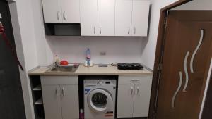 a small kitchen with a washing machine and a sink at Garsoniera 30mp ChrysFlatty 1 in Arad