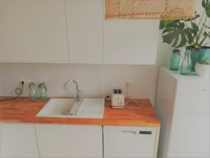 a kitchen with a sink and a counter top at Le Doubs Vesontio in Besançon