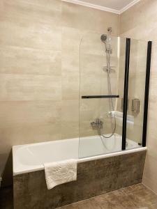 a bath tub with a shower with a glass door at Cozy Apartment Bernburg 1 in Roschwitz +14 photos