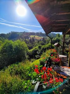 a view of a garden with flowers on a hill at Czarna Owca in Istebna