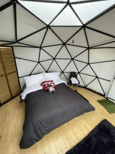 a bedroom with a large black bed in a tent at Glamping Wayra in Guatavita