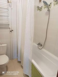 a bathroom with a toilet and a shower curtain at Comfortable and quiet flat in Central Warsaw in Warsaw