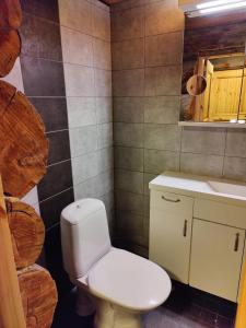 Vonios kambarys apgyvendinimo įstaigoje Villa Suopursu