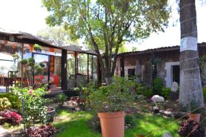 een tuin voor een huis met planten bij Vicalis Hotel, Villas y Glamping in San Sebastian Xolalpa