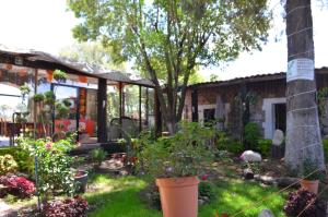 a garden in front of a house with plants at Vicalis Hotel, Villas y Glamping in San Sebastian Xolalpa