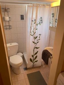 a bathroom with a toilet and a shower curtain with a plant at D apartment in Nea Kallikrateia