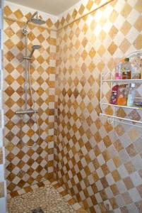 eine Dusche im Bad mit einer gefliesten Wand in der Unterkunft Deux chambres d hôtes attenantes avec salon salle à manger privatif en Cévennes Gardoises in Saint-Jean-du-Gard