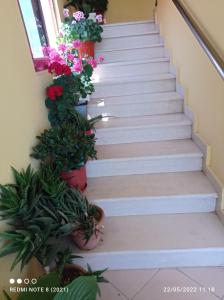 Foto dalla galleria di Guesthouse Fatos Biti a Divjakë