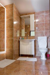 a bathroom with a toilet and a sink and a mirror at Hotel Palace Vrkljan in Karlobag