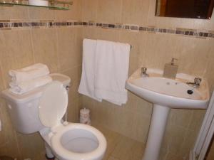 a bathroom with a toilet and a sink at The Ocean Wave Bed & Breakfast in Cleggan