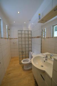 a bathroom with a toilet and a sink at Kemp na Staré papírně in Dobronice