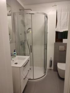 uma casa de banho branca com um chuveiro e um lavatório. em Apartamenty Szczawnica A2 em Szczawnica