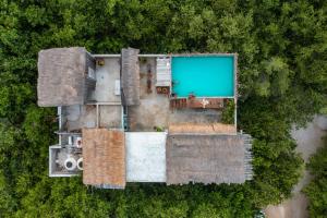 Bazén v ubytování Casa Coyote Tulum nebo v jeho okolí