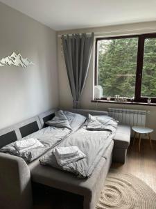 a bedroom with a bed and a couch and a window at Pine Tree Apartment / Borovets Gardens in Borovets