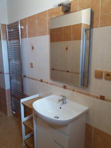 La salle de bains est pourvue d'un lavabo et d'un miroir. dans l'établissement Apartmány Na Valše, à Sušice