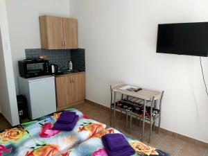 Kuchyň nebo kuchyňský kout v ubytování Apartmány Na Valše