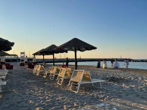 eine Gruppe von Stühlen und Sonnenschirmen am Strand in der Unterkunft Hotel Rex in Gabicce Mare