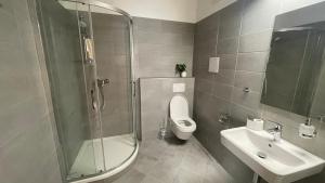 a bathroom with a shower and a toilet and a sink at Pension Pod Radnicí in Český Krumlov +23 photos