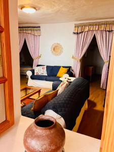 Cueva El Retamal في Juncalillo: غرفة معيشة مع سريرين و مزهرية على طاولة