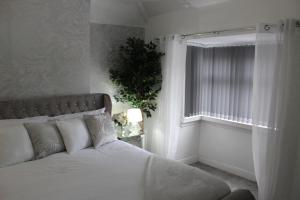 ein Schlafzimmer mit einem Bett und ein Fenster mit einer Pflanze in der Unterkunft Luxury 3 Bedroom House in Birmingham