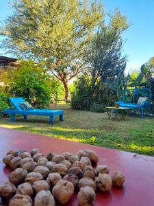 Gallery image of Cabaña Privada - Monte y Lucero in San Pablo +4 photos