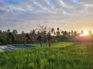 un campo de hierba verde alta junto a una casa en Umma Bali Menjangan Retreat, en Banyuwedang