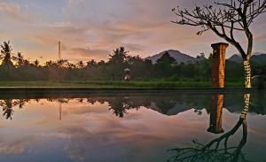 a reflection of a tree in the water at sunset at Umma Bali Menjangan Retreat in Banyuwedang