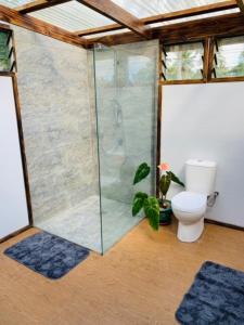 a glass shower in a bathroom with a toilet at Fale Tonga Guesthouse 