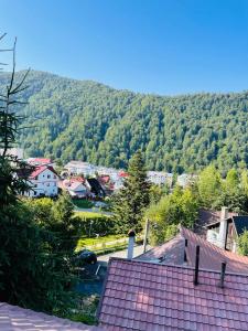 Blick auf eine Stadt mit einem Berg im Hintergrund in der Unterkunft Casa Renilor in Azuga