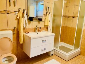 a bathroom with a toilet and a shower and a sink at Apartment Mandarina in Dugi Rat +13 photos