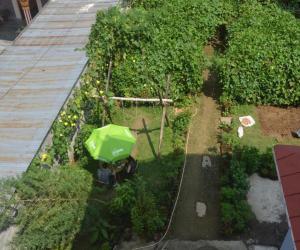 A garden outside Hotel Immortal Inn