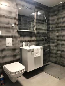 Kúpeľňa v ubytovaní Apartment SKYE