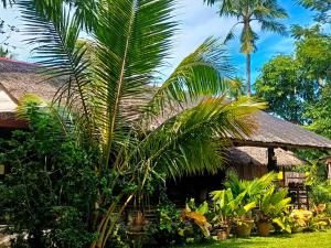 Gallery image of Archery-Asia Nipa Huts Moalboal in Moalboal