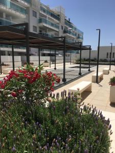 A garden outside Duna Beach - Infinity Pool