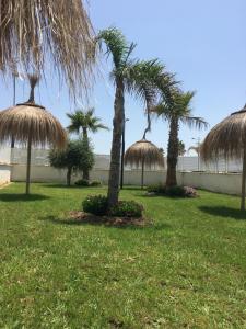 A garden outside Duna Beach - Infinity Pool