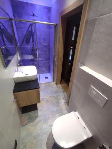 ein Bad mit einem WC, einer Dusche und einem Waschbecken in der Unterkunft Agritur Leita in Tuenno