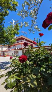 un bâtiment avec des roses rouges devant lui dans l'établissement Hotel Avra, à Korinos