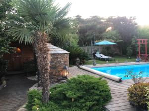 a pool with a palm tree next to a house at Chalet - Piscine - Wifi in Penta-di-Casinca