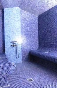 a bathroom with a shower with purple tiled walls at Phaidon Hotel & Spa in Florina