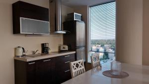 Kuchyň nebo kuchyňský kout v ubytování Luxury Nightlights NELLI Apartment