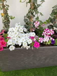 A garden outside Villa para disfrutar en el Valle Golf Resort