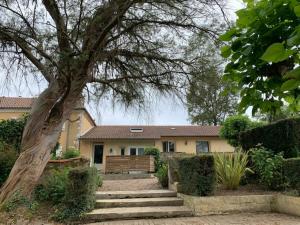 une maison avec un grand arbre en face dans l'établissement Gite Matilon, 5 min Eugénie les Bains, à Buanes