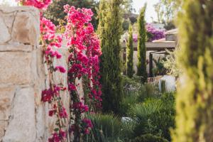 Casa Paradisu外面的花园