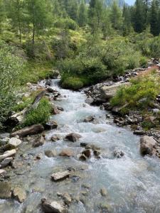 a stream of water with rocks and trees on a hill at Ferienwohnung Moritz in Kaunertal