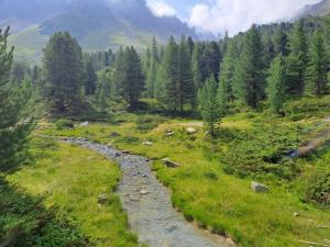 a river in a grassy field with trees in the background at Ferienwohnung Moritz in Kaunertal