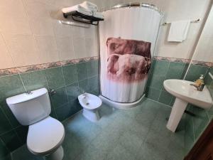 uma casa de banho com um WC, um chuveiro e um lavatório. em Hostal Miami em Madri